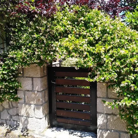 Dryas Lejlighed Polydrossos