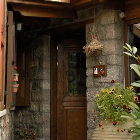 Dryas Apartament