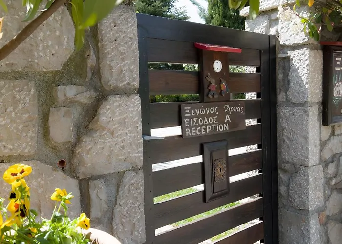 Διαμέρισμα δρυάς