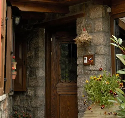 δρυάς Διαμέρισμα